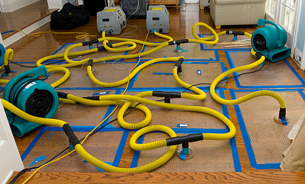 Professional Water Extraction technician working in West Liberty, IA